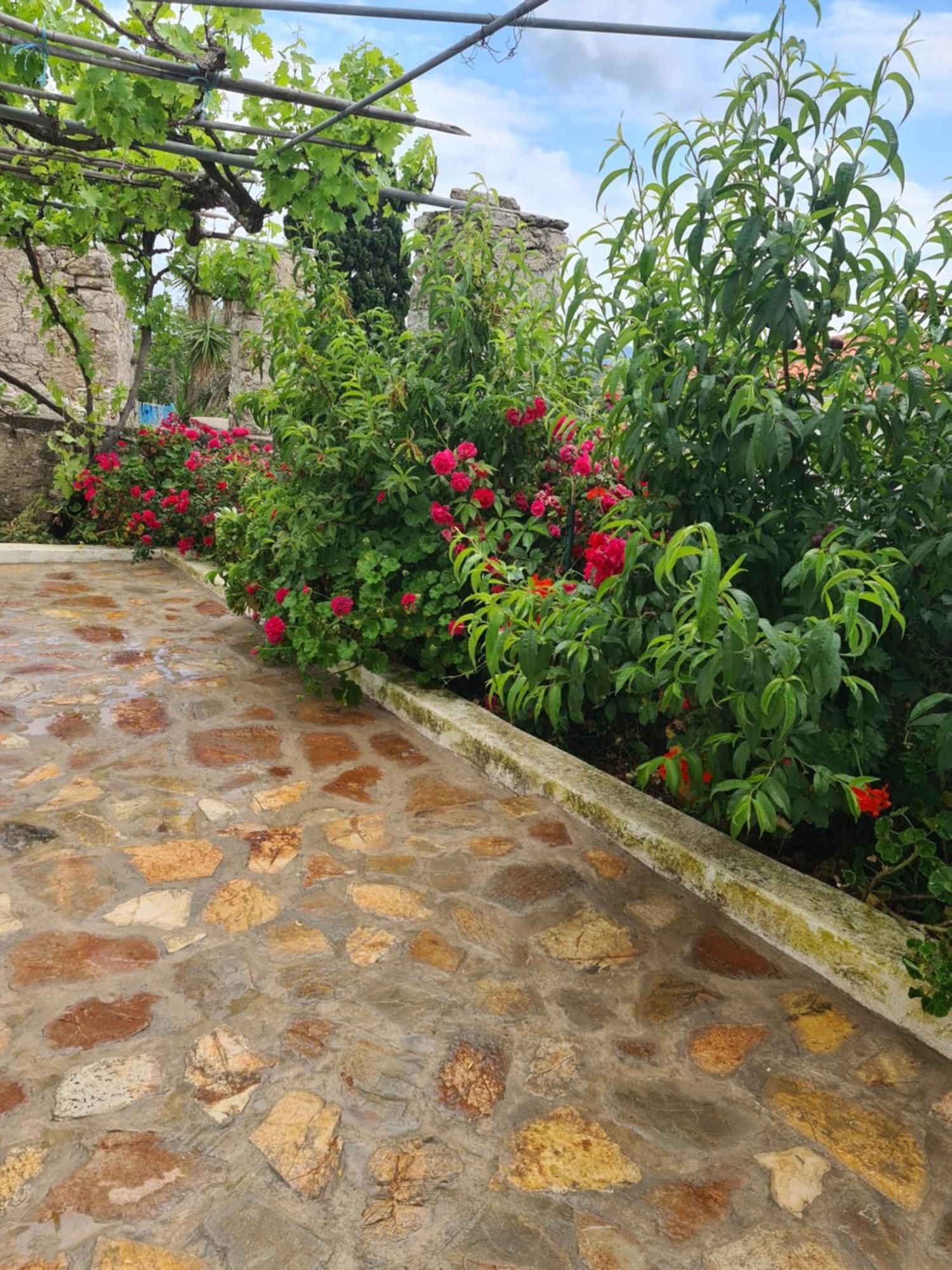Kamaraki Grande Aroniadika Apartment Kythira Town Exterior photo